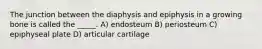 The junction between the diaphysis and epiphysis in a growing bone is called the _____. A) endosteum B) periosteum C) epiphyseal plate D) articular cartilage