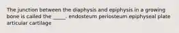 The junction between the diaphysis and epiphysis in a growing bone is called the _____. endosteum periosteum epiphyseal plate articular cartilage