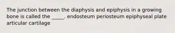 The junction between the diaphysis and epiphysis in a growing bone is called the _____. endosteum periosteum epiphyseal plate articular cartilage