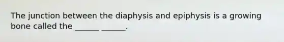 The junction between the diaphysis and epiphysis is a growing bone called the ______ ______.