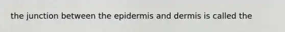 the junction between the epidermis and dermis is called the