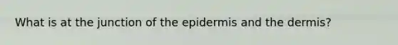 What is at the junction of the epidermis and the dermis?