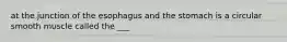 at the junction of the esophagus and the stomach is a circular smooth muscle called the ___