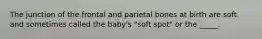 The junction of the frontal and parietal bones at birth are soft and sometimes called the baby's "soft spot" or the _____.