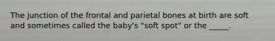 The junction of the frontal and parietal bones at birth are soft and sometimes called the baby's "soft spot" or the _____.