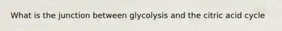 What is the junction between glycolysis and the citric acid cycle