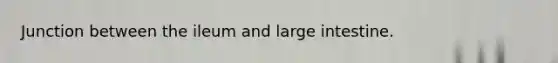 Junction between the ileum and large intestine.