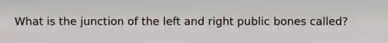 What is the junction of the left and right public bones called?