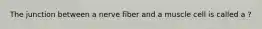 The junction between a nerve fiber and a muscle cell is called a ?