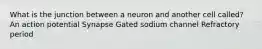 What is the junction between a neuron and another cell called? An action potential Synapse Gated sodium channel Refractory period