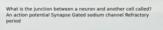 What is the junction between a neuron and another cell called? An action potential Synapse Gated sodium channel Refractory period