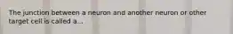 The junction between a neuron and another neuron or other target cell is called a...