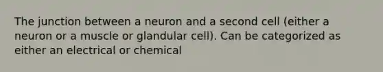 The junction between a neuron and a second cell (either a neuron or a muscle or glandular cell). Can be categorized as either an electrical or chemical