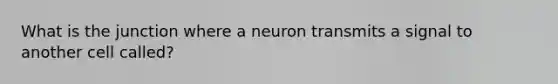 What is the junction where a neuron transmits a signal to another cell called?