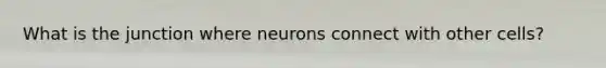 What is the junction where neurons connect with other cells?