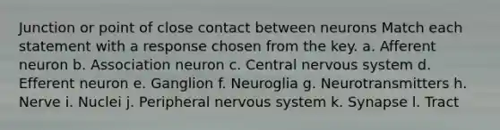 Junction or point of close contact between neurons Match each statement with a response chosen from the key. a. Afferent neuron b. Association neuron c. Central nervous system d. Efferent neuron e. Ganglion f. Neuroglia g. Neurotransmitters h. Nerve i. Nuclei j. Peripheral nervous system k. Synapse l. Tract