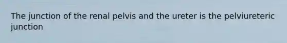 The junction of the renal pelvis and the ureter is the pelviureteric junction