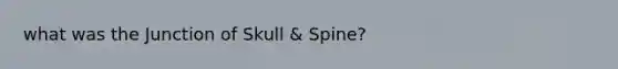 what was the Junction of Skull & Spine?