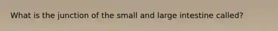 What is the junction of the small and large intestine called?