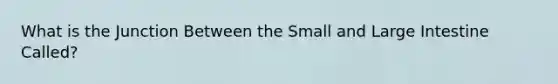 What is the Junction Between the Small and Large Intestine Called?