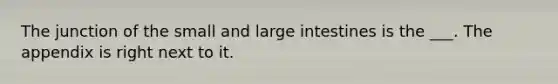 The junction of the small and large intestines is the ___. The appendix is right next to it.