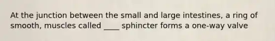 At the junction between the small and large intestines, a ring of smooth, muscles called ____ sphincter forms a one-way valve