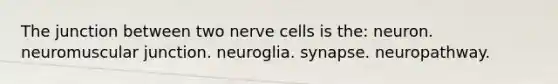 The junction between two nerve cells is the: neuron. neuromuscular junction. neuroglia. synapse. neuropathway.