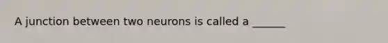 A junction between two neurons is called a ______