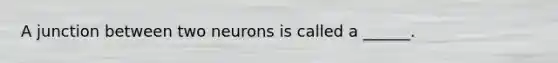 A junction between two neurons is called a ______.
