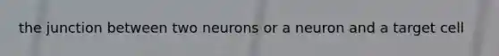 the junction between two neurons or a neuron and a target cell