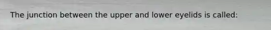 The junction between the upper and lower eyelids is called: