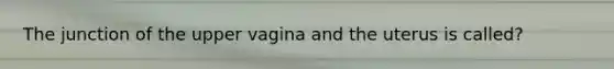 The junction of the upper vagina and the uterus is called?