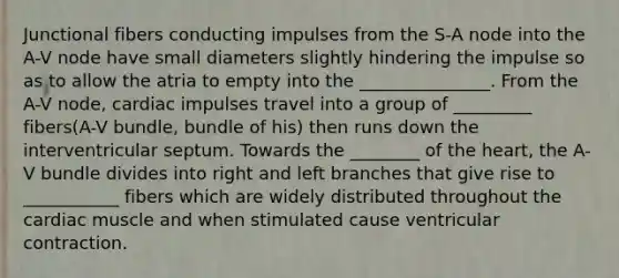 Junctional fibers conducting impulses from the S-A node into the A-V node have small diameters slightly hindering the impulse so as to allow the atria to empty into the _______________. From the A-V node, cardiac impulses travel into a group of _________ fibers(A-V bundle, bundle of his) then runs down the interventricular septum. Towards the ________ of the heart, the A-V bundle divides into right and left branches that give rise to ___________ fibers which are widely distributed throughout the cardiac muscle and when stimulated cause ventricular contraction.