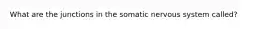 What are the junctions in the somatic nervous system called?