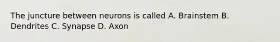 The juncture between neurons is called A. Brainstem B. Dendrites C. Synapse D. Axon