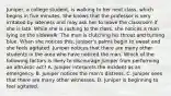 Juniper, a college student, is walking to her next class, which begins in five minutes. She knows that the professor is very irritated by lateness and may ask her to leave the classroom if she is late. While she is rushing to the class, she notices a man lying on the sidewalk. The man is clutching his throat and turning blue. When she notices this, Juniper's palms begin to sweat and she feels agitated. Juniper notices that there are many other students in the area who have noticed the man. Which of the following factors is likely to discourage Juniper from performing an altruistic act? A. Juniper interprets the incident as an emergency. B. Juniper notices the man's distress. C. Juniper sees that there are many other witnesses. D. Juniper is beginning to feel agitated.