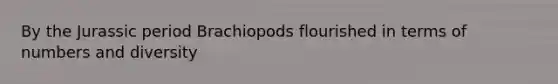 By the Jurassic period Brachiopods flourished in terms of numbers and diversity