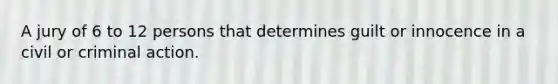 A jury of 6 to 12 persons that determines guilt or innocence in a civil or criminal action.