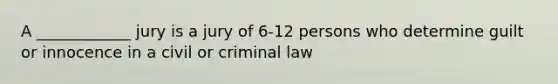 A ____________ jury is a jury of 6-12 persons who determine guilt or innocence in a civil or criminal law