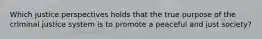 Which justice perspectives holds that the true purpose of the criminal justice system is to promote a peaceful and just society?