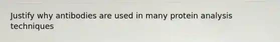 Justify why antibodies are used in many protein analysis techniques