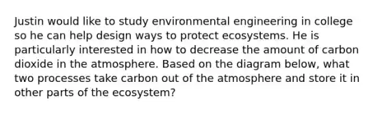 Justin would like to study environmental engineering in college so he can help design ways to protect ecosystems. He is particularly interested in how to decrease the amount of carbon dioxide in the atmosphere. Based on the diagram below, what two processes take carbon out of the atmosphere and store it in other parts of the ecosystem?