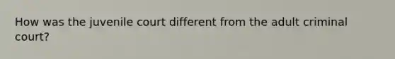How was the juvenile court different from the adult criminal court?