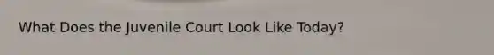 What Does the Juvenile Court Look Like Today?