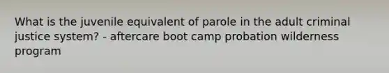 What is the juvenile equivalent of parole in the adult criminal justice system? - aftercare boot camp probation wilderness program