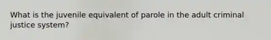 What is the juvenile equivalent of parole in the adult criminal justice system?