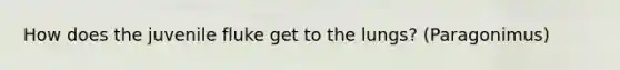 How does the juvenile fluke get to the lungs? (Paragonimus)