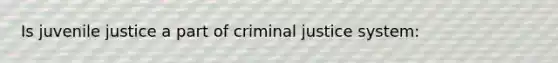 Is juvenile justice a part of criminal justice system: