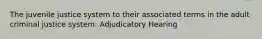 The juvenile justice system to their associated terms in the adult criminal justice system: Adjudicatory Hearing