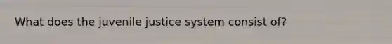 What does the juvenile justice system consist of?